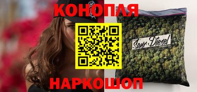 прущие грибы Будённовск