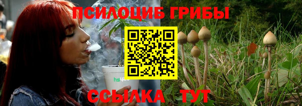Псилоцибиновые грибы Cubensis  цена наркотик  Можайск  Вход с VPN 
